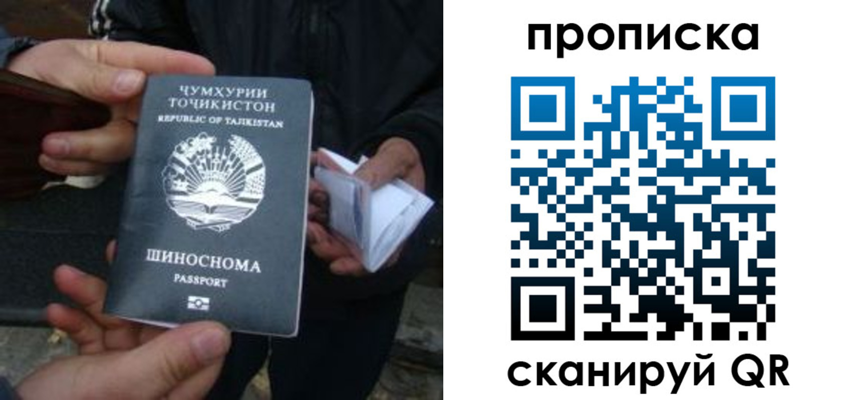пропишу в квартире в Новороссийске